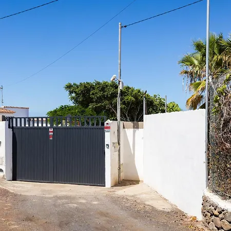 Drago * タコロンテ