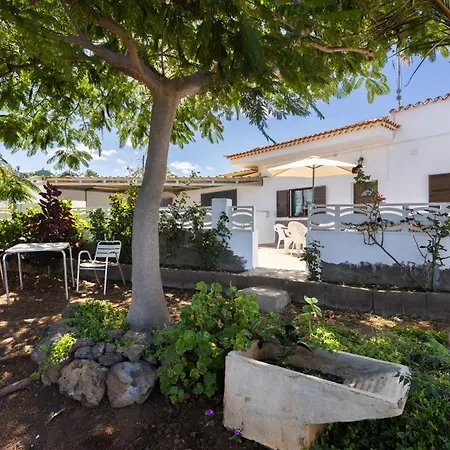 Drago タコロンテ